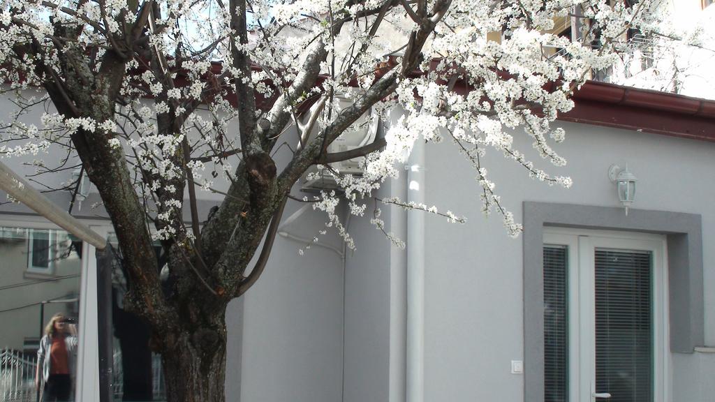 Villa Metulevi Ochrid Exteriér fotografie