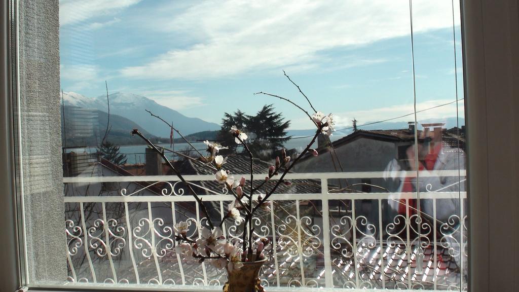 Villa Metulevi Ochrid Exteriér fotografie