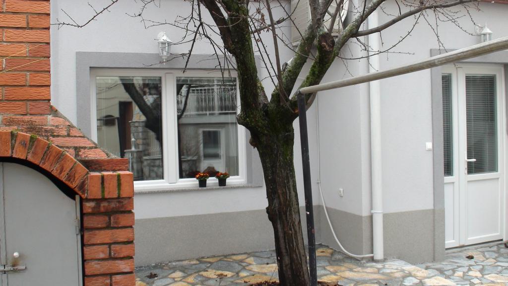 Villa Metulevi Ochrid Exteriér fotografie